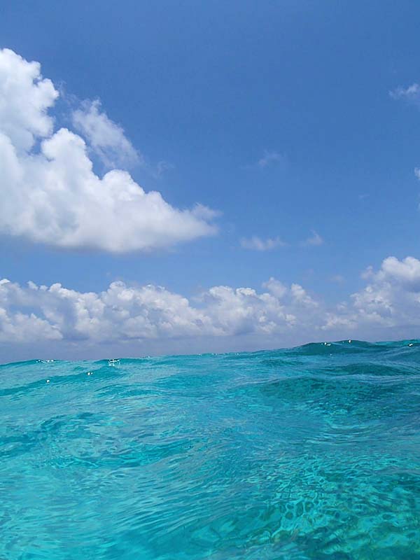 Oh the beautiful waters of the Caribbean...